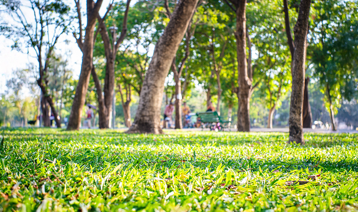 Drought Declared in Eight Irish Counties Amid Heatwave: How You Can Stay Cool and Save on Energy