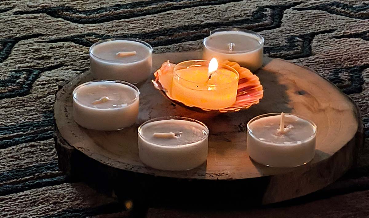 New Beginnings and Awakening for Spring