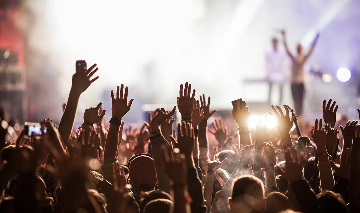 🌲Off to Forest Fest? - Your Quick Guide to a Stress-Free Woodland Weekend